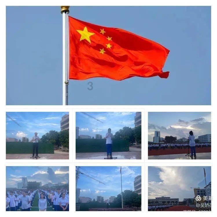 虫虫助手下载